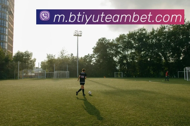 App Interface Preview