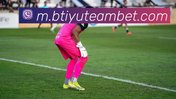 B体育APP 封面图